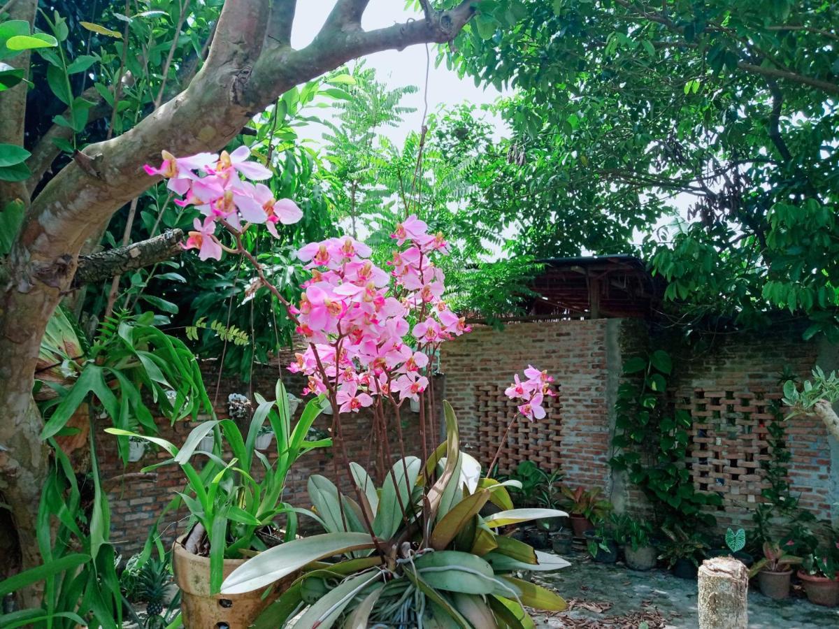 Bua Guest House Medan Exterior photo