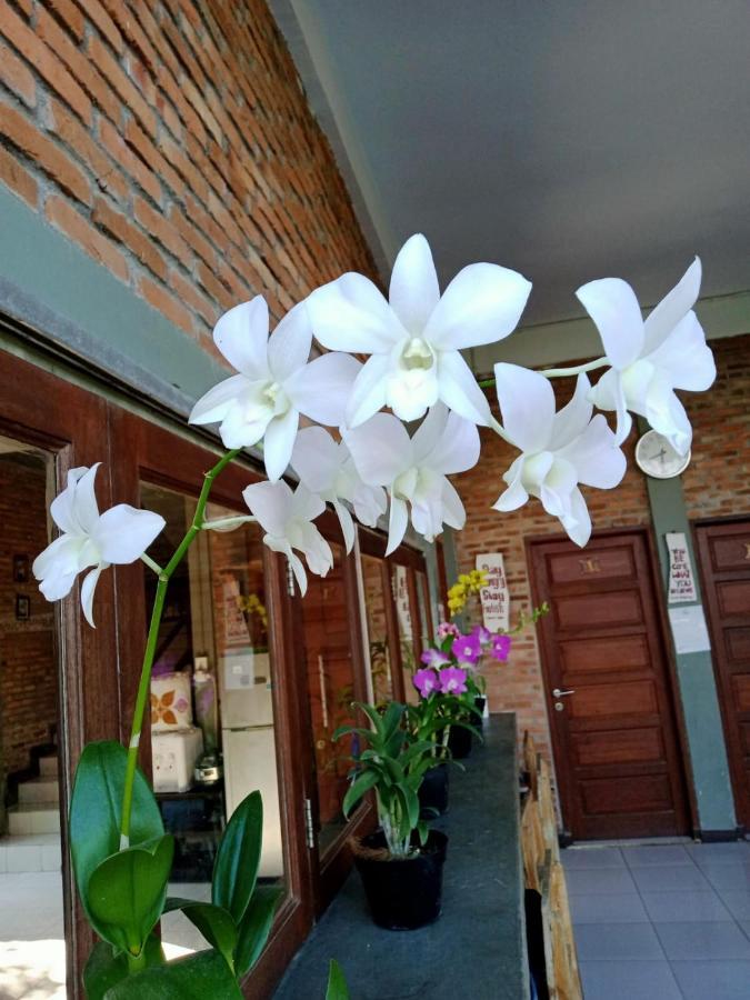 Bua Guest House Medan Exterior photo